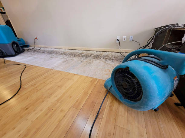 Professional Ceiling Water Damage Repair technician working in Jamestown, ND